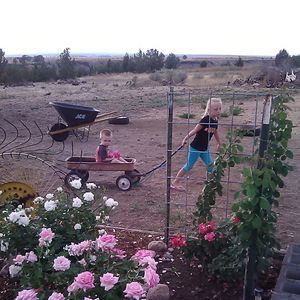 Meet your Posher, Jamilee